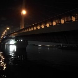 南港ヘチ釣行 (9/18 南港ヘチ釣り 真チヌ、ガシラ 釣果有り)