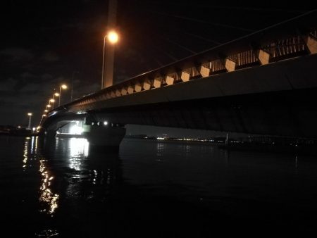 南港ヘチ釣行 (9/18 南港ヘチ釣り 真チヌ、ガシラ 釣果有り)