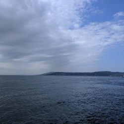 石鯛グレなどかサビキで釣れました。