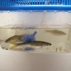 仕事の合間に❗