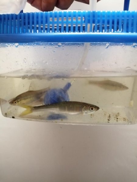 仕事の合間に❗