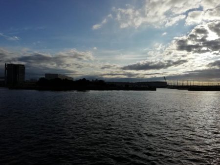 さより好調(小さめです)