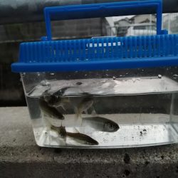 お休みなので❗