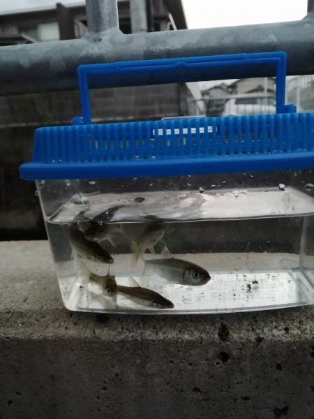 お休みなので❗