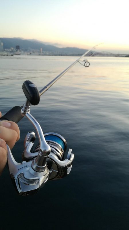 指4本半！量型タチウオGET！