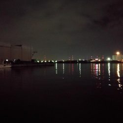 南港ヘチ釣行 (9/28 久々の南港ヘチ釣り 真チヌ44cm、キビレ、メジナ 釣果有り)