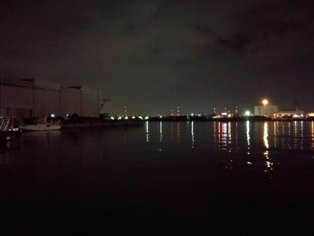 南港ヘチ釣行 (9/28 久々の南港ヘチ釣り 真チヌ44cm、キビレ、メジナ 釣果有り)