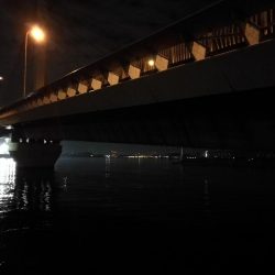 南港ヘチ釣行 (9/29 南港ヘチ釣り 真チヌ、ガシラ、メジナ 釣果有り)