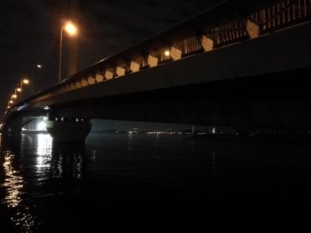 南港ヘチ釣行 (9/29 南港ヘチ釣り 真チヌ、ガシラ、メジナ 釣果有り)