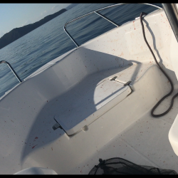 小豆島不発からの家島付近ボートキャスティング!