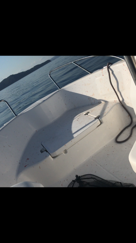 小豆島不発からの家島付近ボートキャスティング!