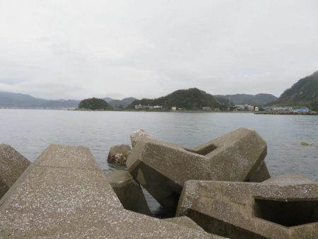 人生初の青物ゲット!