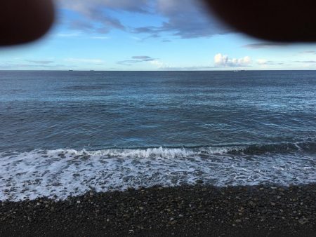 シマアジ32匹、カワハギ1匹