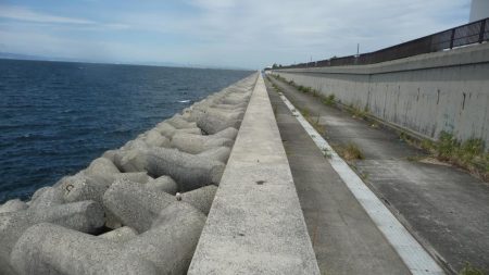 ハマチと呼ばせて！！