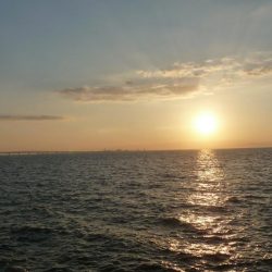 ドラゴンならず;;