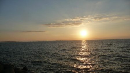 ドラゴンならず;;