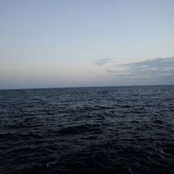 またまたアジング！　小アジが増えたかな？