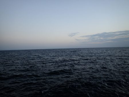 またまたアジング！　小アジが増えたかな？