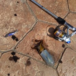 輪島マリンタウン