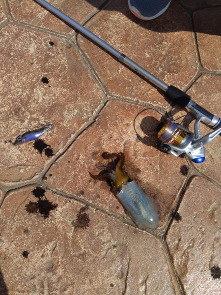 輪島マリンタウン