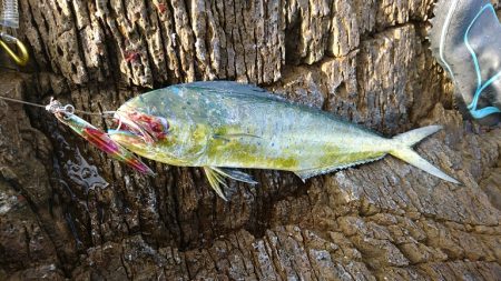 上向きになってきた。