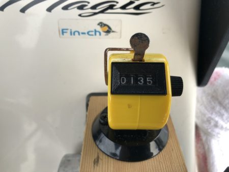 Magic（マジック） 釣果