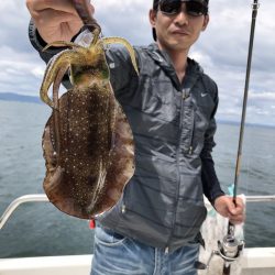 Magic（マジック） 釣果