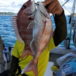 遊漁船 ニライカナイ 釣果