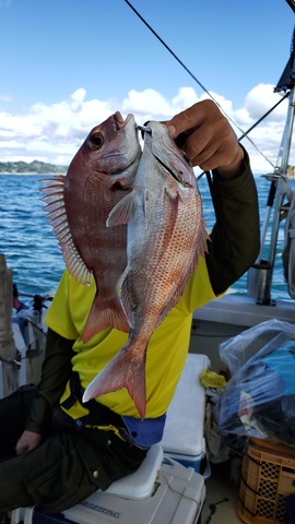 遊漁船 ニライカナイ 釣果