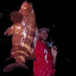 シーマジカル 釣果