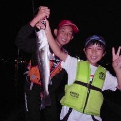 シーマジカル 釣果