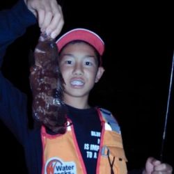 シーマジカル 釣果