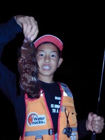 シーマジカル 釣果