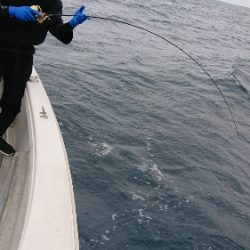 IDATEN(イダテン) 釣果