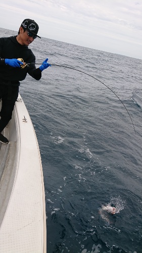 IDATEN(イダテン) 釣果