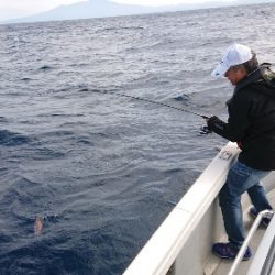 IDATEN(イダテン) 釣果