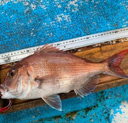幸吉丸 釣果