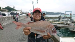 まこと渡船 釣果
