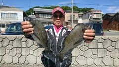 まこと渡船 釣果