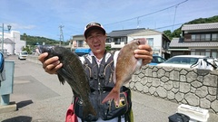 まこと渡船 釣果