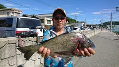 まこと渡船 釣果
