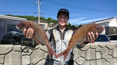 まこと渡船 釣果