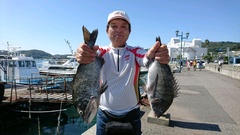 まこと渡船 釣果