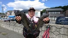 まこと渡船 釣果