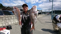 まこと渡船 釣果