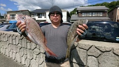 まこと渡船 釣果