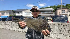 まこと渡船 釣果