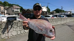 まこと渡船 釣果