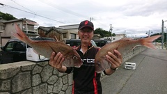 まこと渡船 釣果