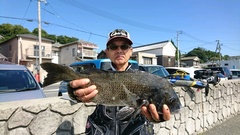 まこと渡船 釣果